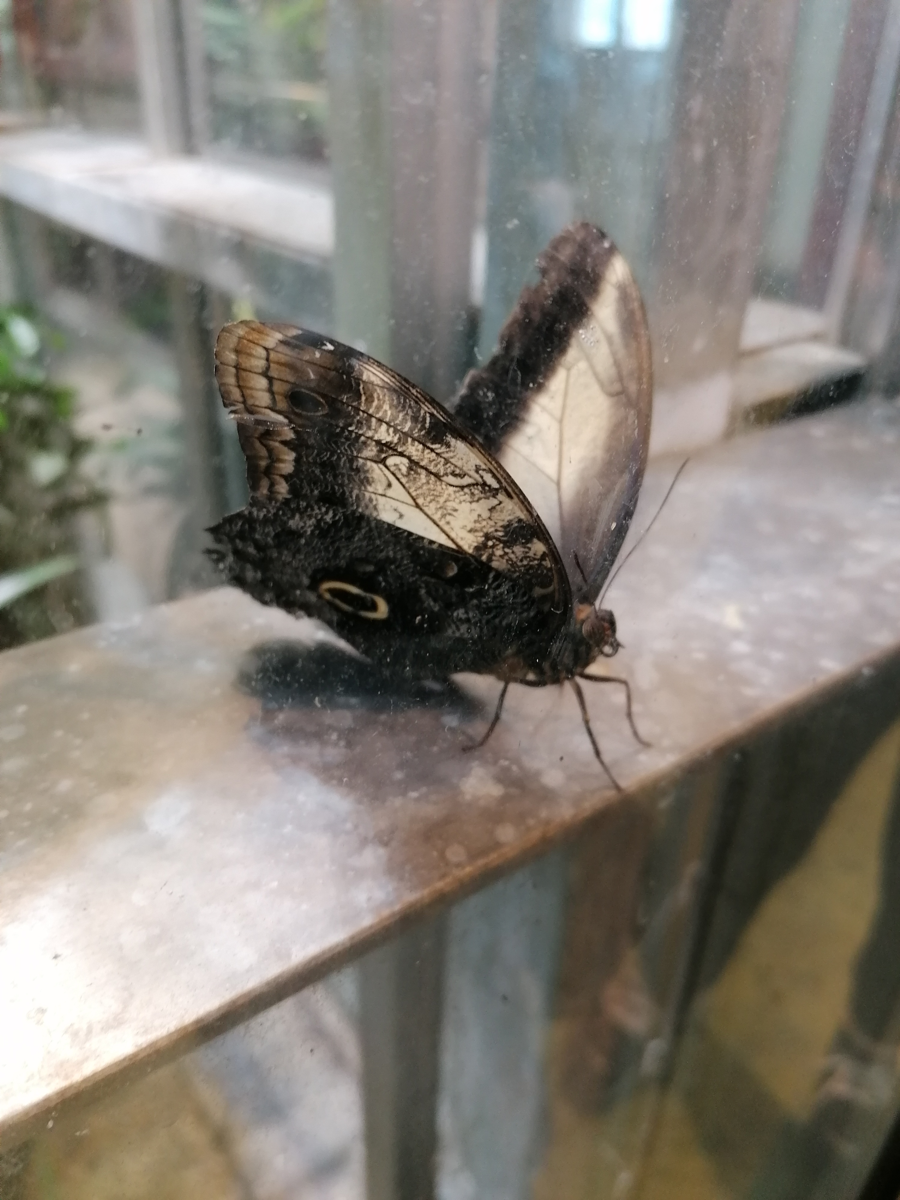 Photo n° 7 de l'avis de Sandrine.o fait le 07/05/2023 à 16:19