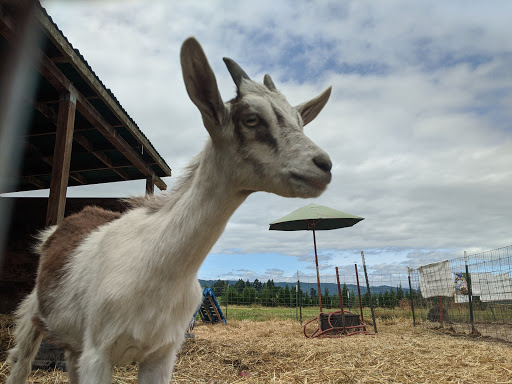 Farm «Bella Organic Farm», reviews and photos, 16205 NW Gillihan Rd, Portland, OR 97231, USA