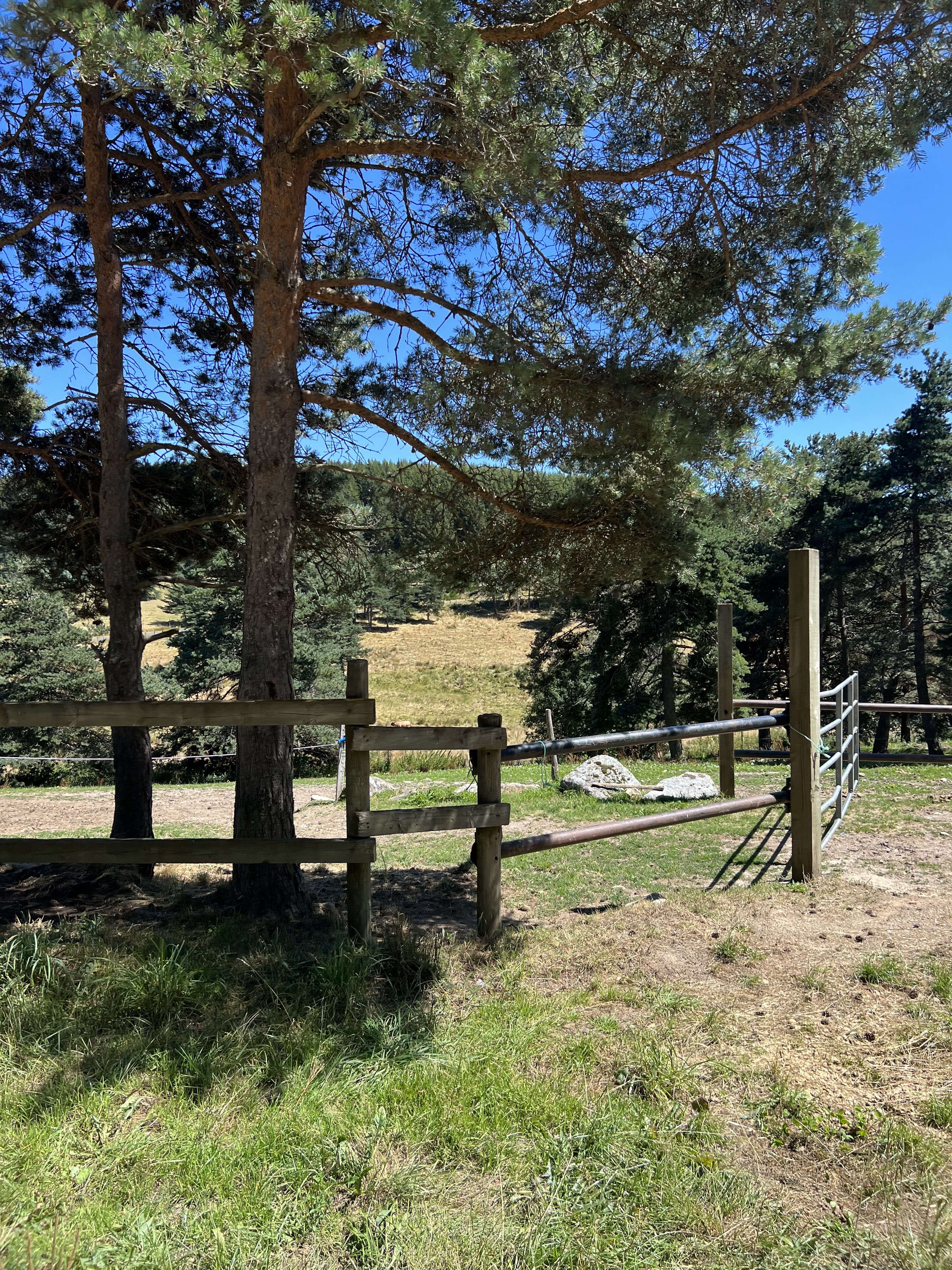 Photo n° 4 de l'avis de Emilie.O fait le 08/08/2023 à 06:51