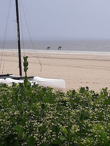 Face Mer à La Baule-Escoublac