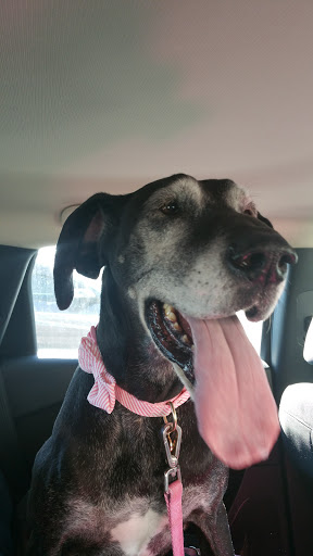 Pet Supply Store «Petco Animal Supplies», reviews and photos, 200 McMahan Blvd, Marion, OH 43302, USA