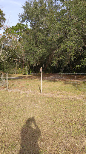 Park «Red Bug Lake Park», reviews and photos, 3600 Red Bug Lake Rd, Casselberry, FL 32707, USA