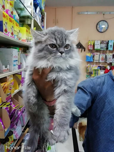 Animal Gurukul Pet Shop