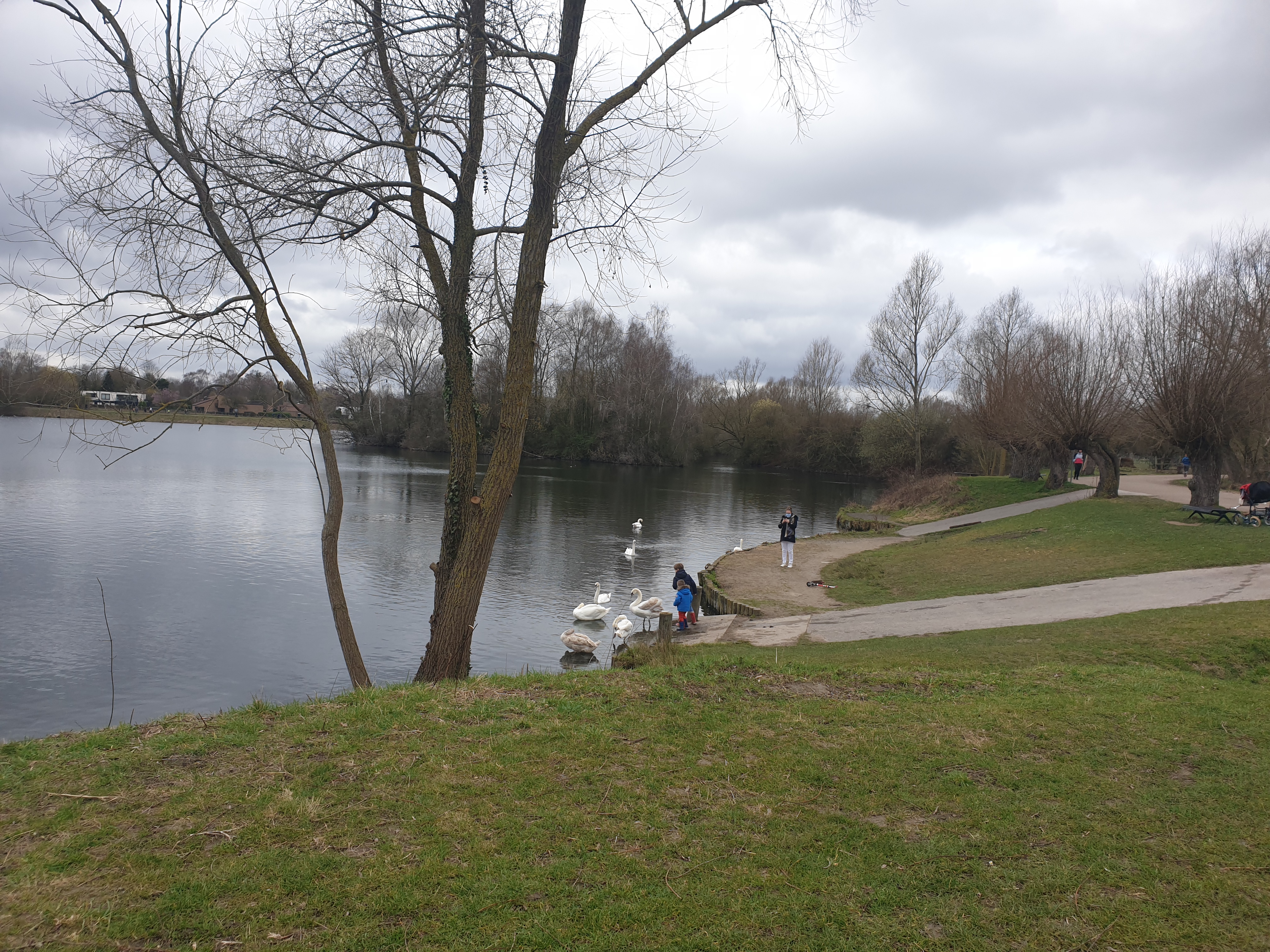 Photo n° 2 de l'avis de Piotr. fait le 11/04/2021 à 17:28