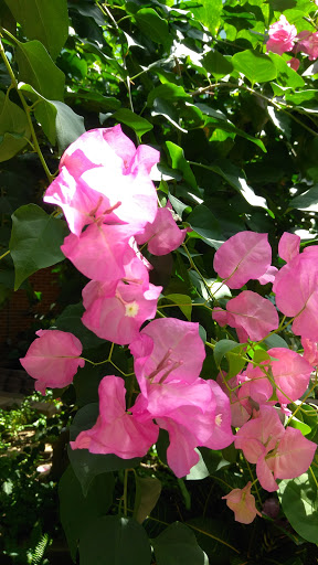 Museum «Discovery Place Nature», reviews and photos, 1658 Sterling Rd, Charlotte, NC 28209, USA