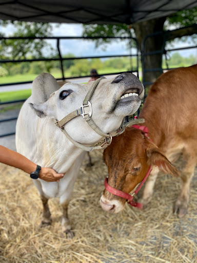 Ice Cream Shop «Owowcow Creamery», reviews and photos, 4105 Durham Rd, Ottsville, PA 18942, USA