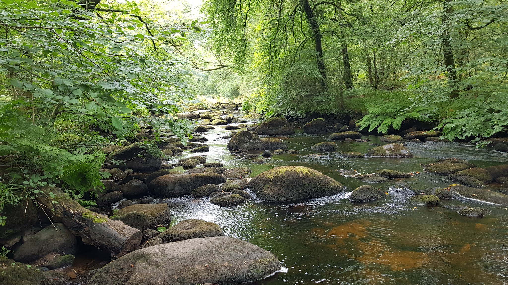 Photo n° 21 de l'avis de joël.A fait le 20/08/2021 à 15:46