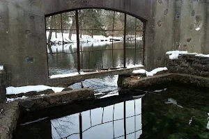 Paradise Springs Nature Trail image