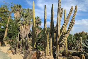 Cactus y otras Suculentas Garden image