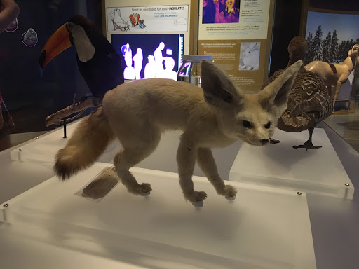 Natural History Museum «Natural History Museum of Utah», reviews and photos, 301 Wakara Way, Salt Lake City, UT 84108, USA