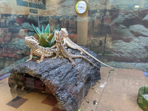 Pet Supply Store «Petco Animal Supplies», reviews and photos, 855 E Bidwell St, Folsom, CA 95630, USA