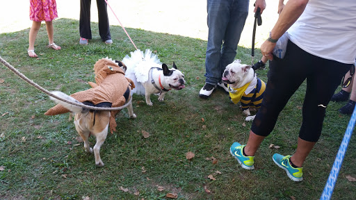 Park «Post Park», reviews and photos, 451 Unqua Rd, Massapequa Park, NY 11762, USA