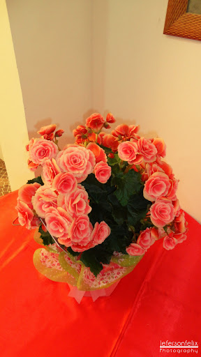 Florist «Lexis Florist», reviews and photos, 6102 Skyline Dr a, Houston, TX 77057, USA