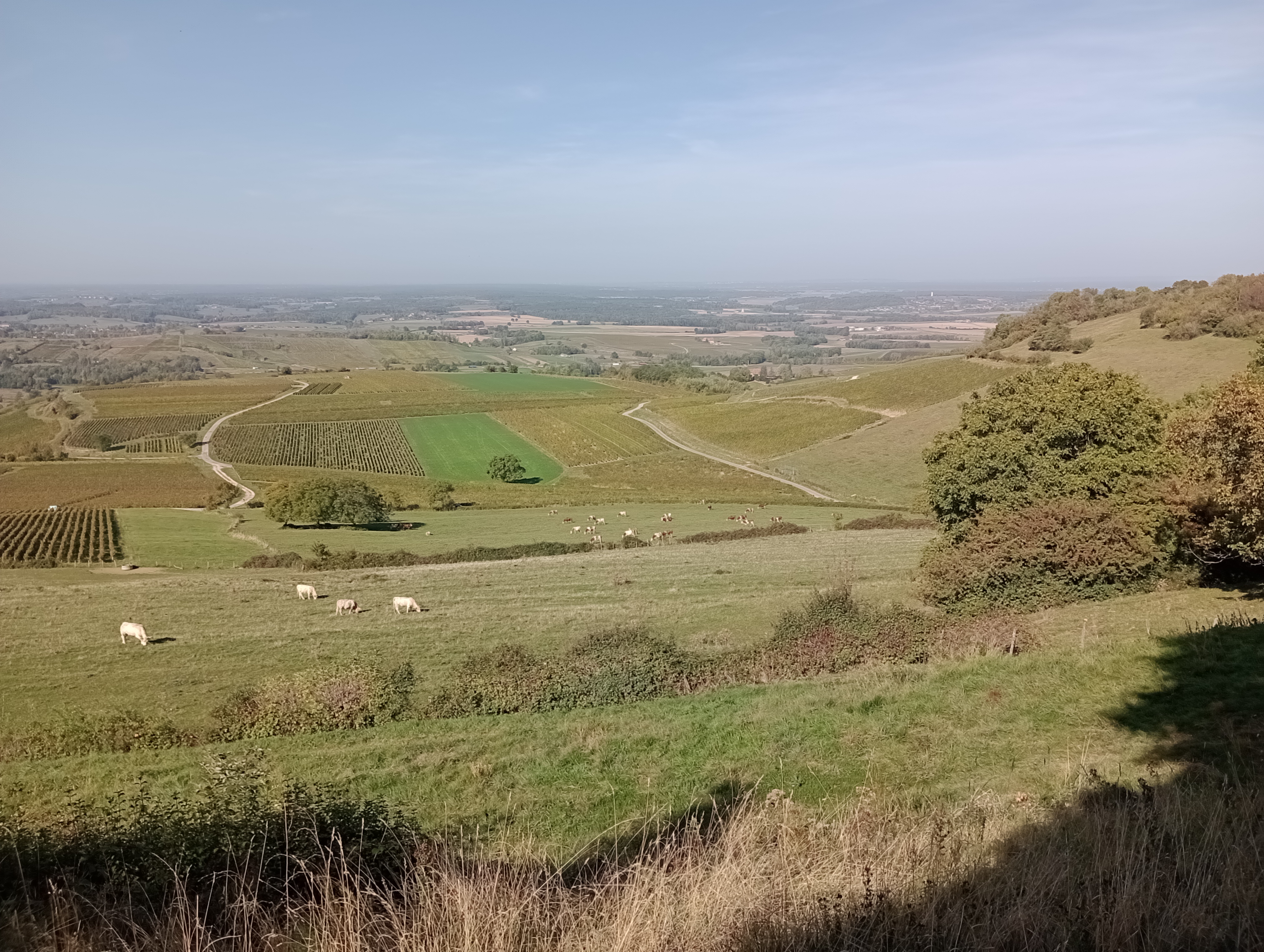 Photo n° 2 de l'avis de Koen.e fait le 10/10/2023 à 17:18