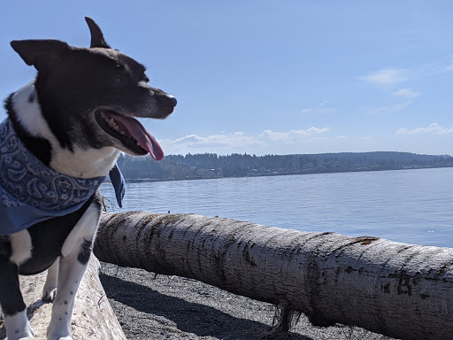 Public Golf Course «Chambers Bay», reviews and photos, 6320 Grandview Dr W, University Place, WA 98467, USA