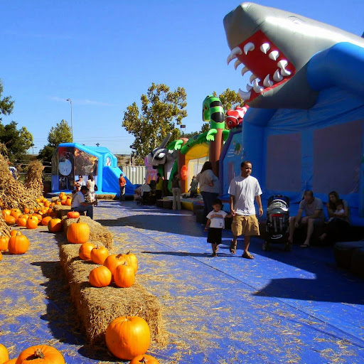 ABC Tree Farms & Pick of the Patch Pumpkins - SJ - McKee