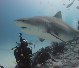 Phantom Divers photo
