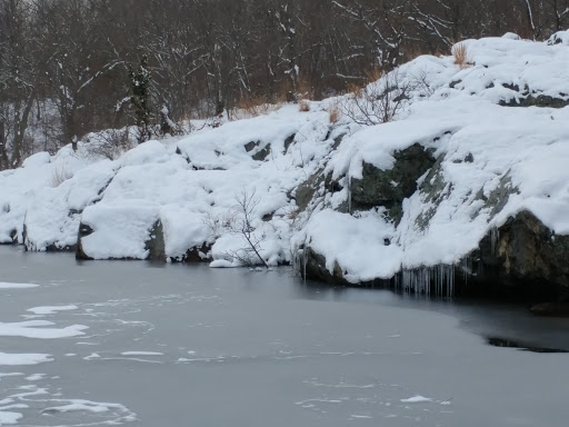 State Park «Lincoln Woods State Park», reviews and photos, 2 Manchester Print Works Rd, Lincoln, RI 02865, USA