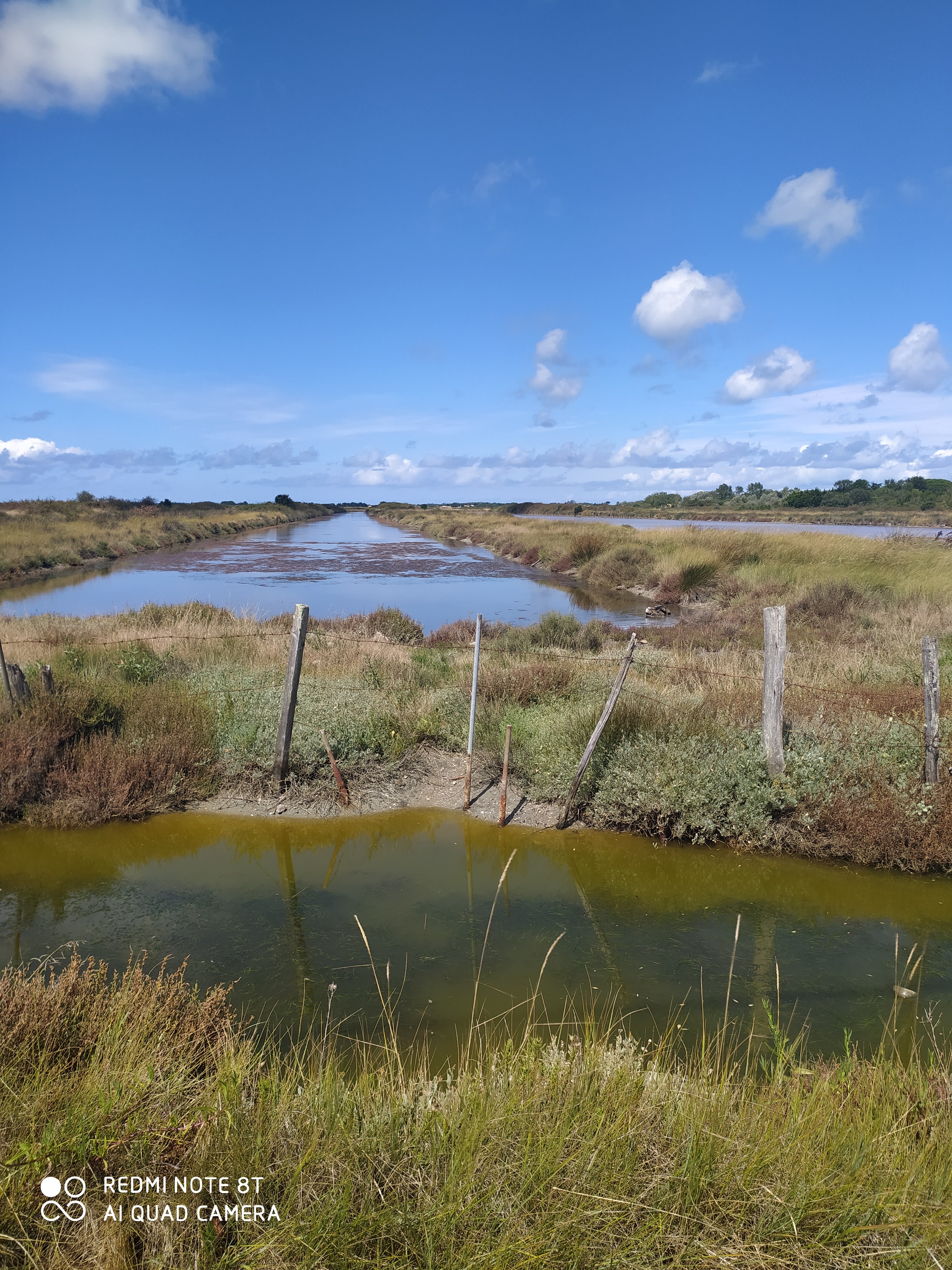 Photo n° 3 de l'avis de sandra.a fait le 19/08/2020 à 19:50