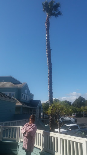 Shopping Mall «Seascape Village Shopping Center», reviews and photos, 2-40 Seascape Village, Aptos, CA 95003, USA