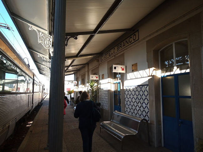 Estação Caminhos Ferro de Castelo Branco - Serviço de transporte