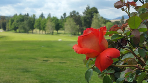 Golf Course «Hansen Dam Golf Course», reviews and photos, 10400 Glenoaks Blvd, Pacoima, CA 91331, USA