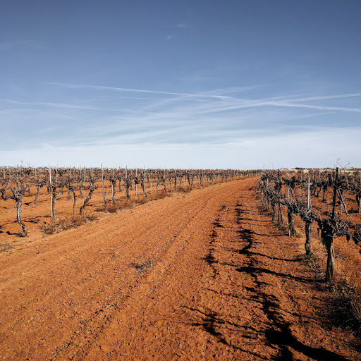 Winery «Pheasant Ridge Winery», reviews and photos, 3507 E County Road 5700, Lubbock, TX 79403, USA