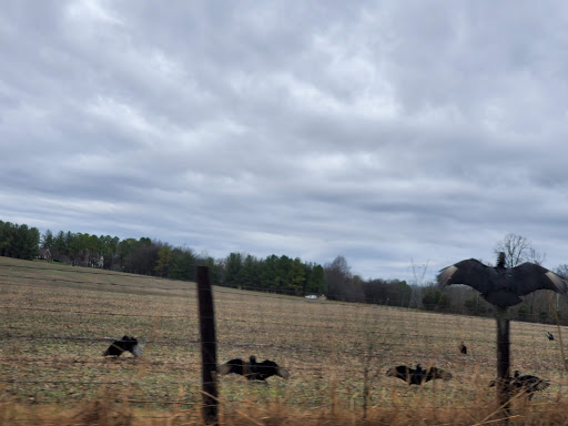 Golf Course «Stoneybrook Golf Course», reviews and photos, 119 Stoneybrook Rd, Columbia, TN 38401, USA