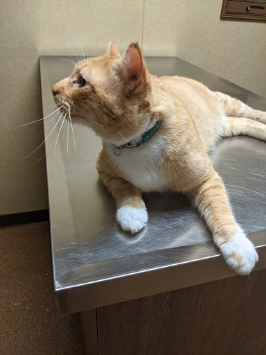 Millard Veterinary Clinics