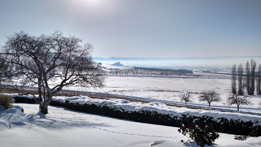 Winery «Ste. Chapelle Winery», reviews and photos, 19348 Lowell Rd, Caldwell, ID 83607, USA