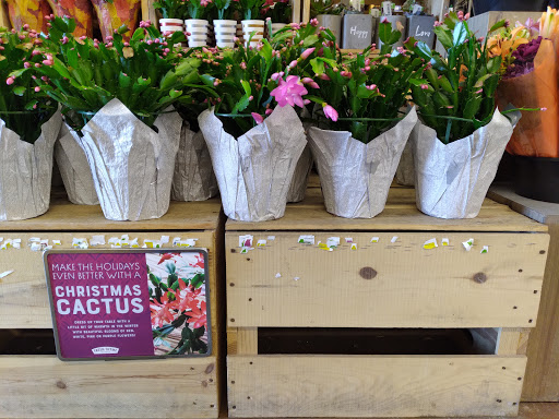 Grocery Store «Fresh Thyme Farmers Market- Troy MI», reviews and photos, 901 E Big Beaver Rd, Troy, MI 48083, USA