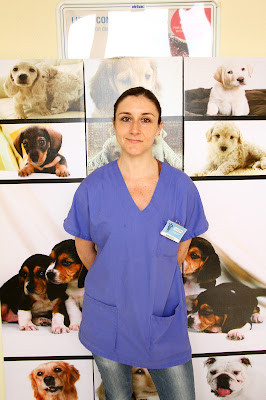 Clinique vétérinaire Ronville à Arras