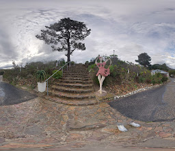 La Vierge Wines photo