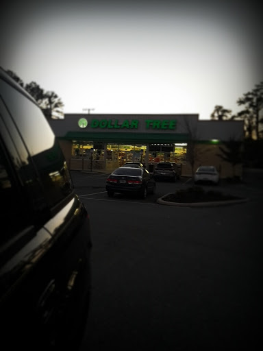Dollar Store «Dollar Tree», reviews and photos