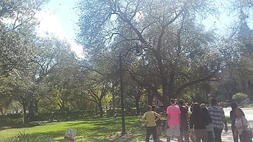 Museum «Henry B. Plant Museum», reviews and photos, 401 W Kennedy Blvd, Tampa, FL 33606, USA