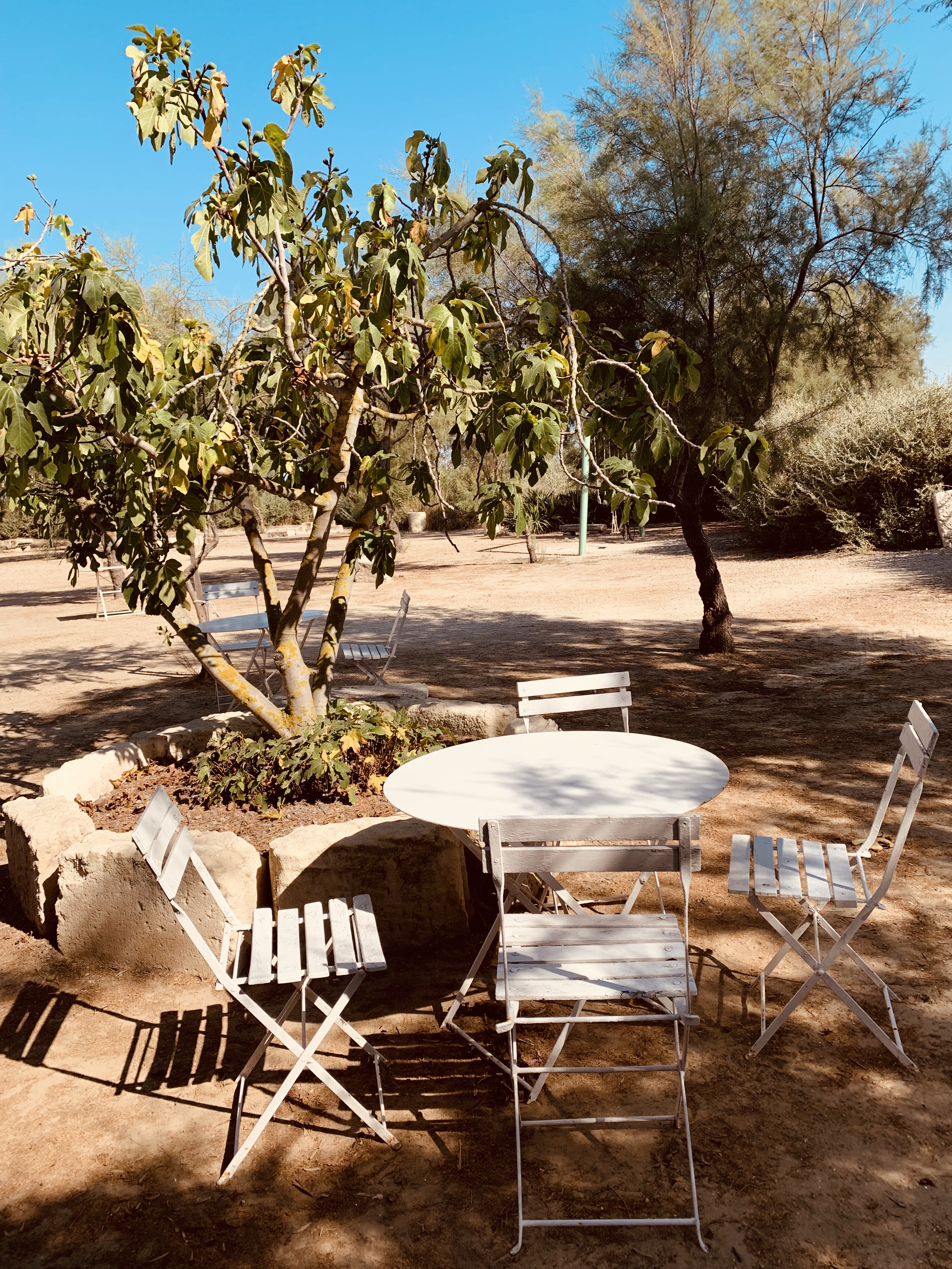 Photo n° 7 de l'avis de Mladen.e fait le 07/08/2019 à 18:36