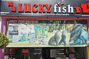Lucky Fish Aquarium&Pets Enterprise image