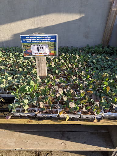 Home Improvement Store «Menards», reviews and photos, 200 Menard Ln, Marion, IA 52302, USA