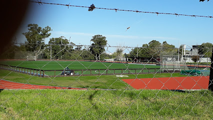 Pista de atletismo Prado