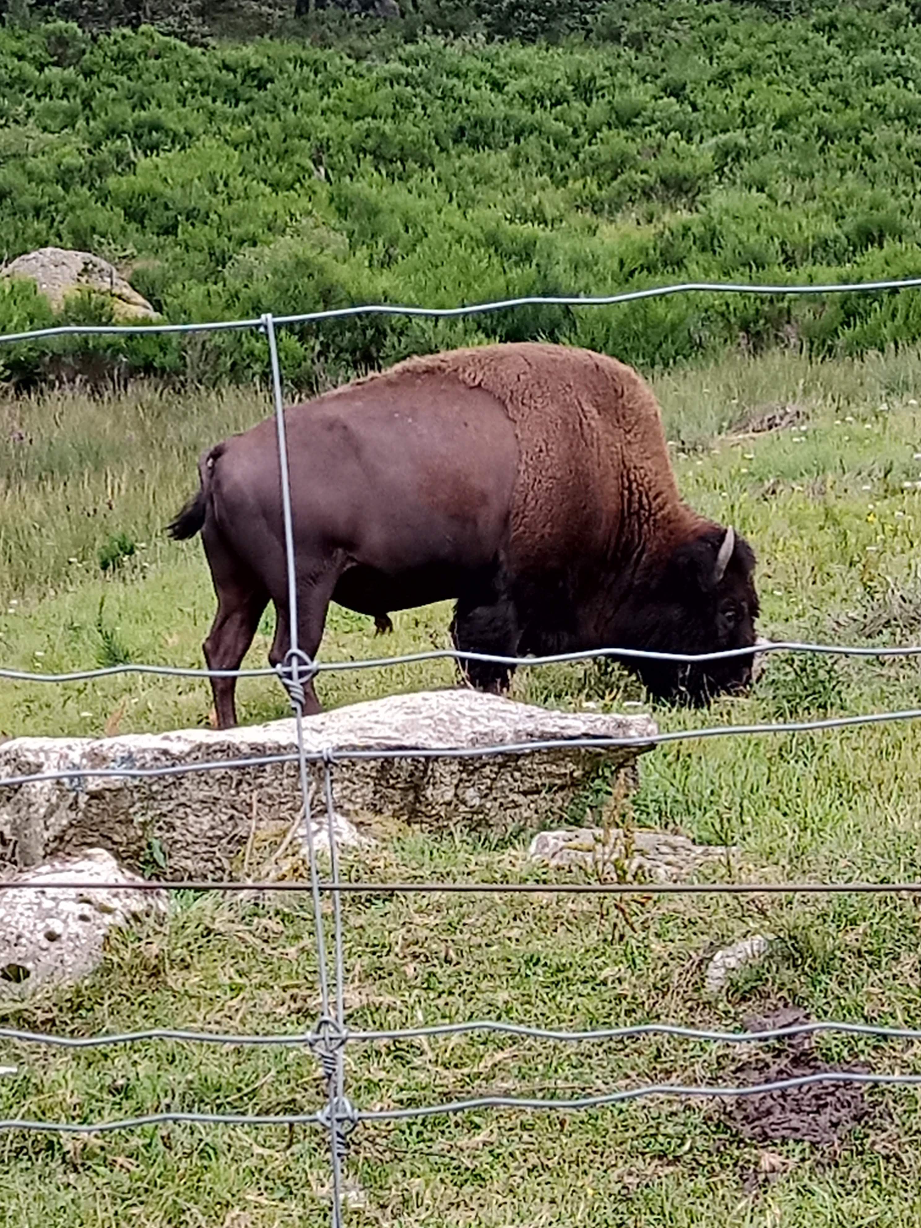 Photo n° 18 de l'avis de Marj.a fait le 18/07/2021 à 21:04