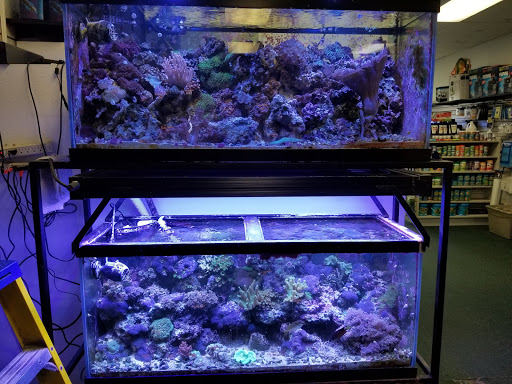Tropical Fish Store «Seascape Aquatics», reviews and photos, 5038 Academy Blvd N, Colorado Springs, CO 80918, USA