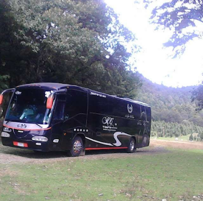 Modelo de negocio