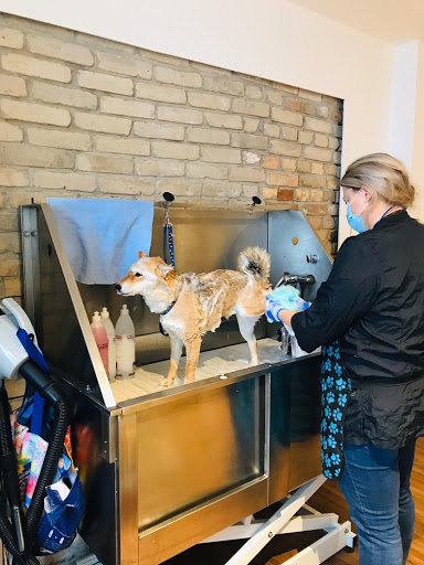 FellFormat Hundesalon & Fellpflege für Katzen unter Ilvesheim, 