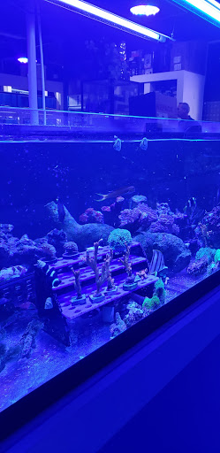 Tropical Fish Store «Quantum Reefs», reviews and photos, 7025 Brookfield Plaza, Springfield, VA 22150, USA