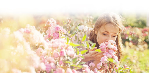 The Allergy Clinic