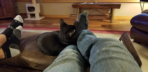 Golf Course «Ironwood Golf Course», reviews and photos, 1901 N Towanda Ave, Normal, IL 61761, USA