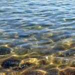 Photo n°2 de l'avis de Billy.r fait le 09/01/2023 à 22:28 sur le  Pescia Romana à Pescia Romana