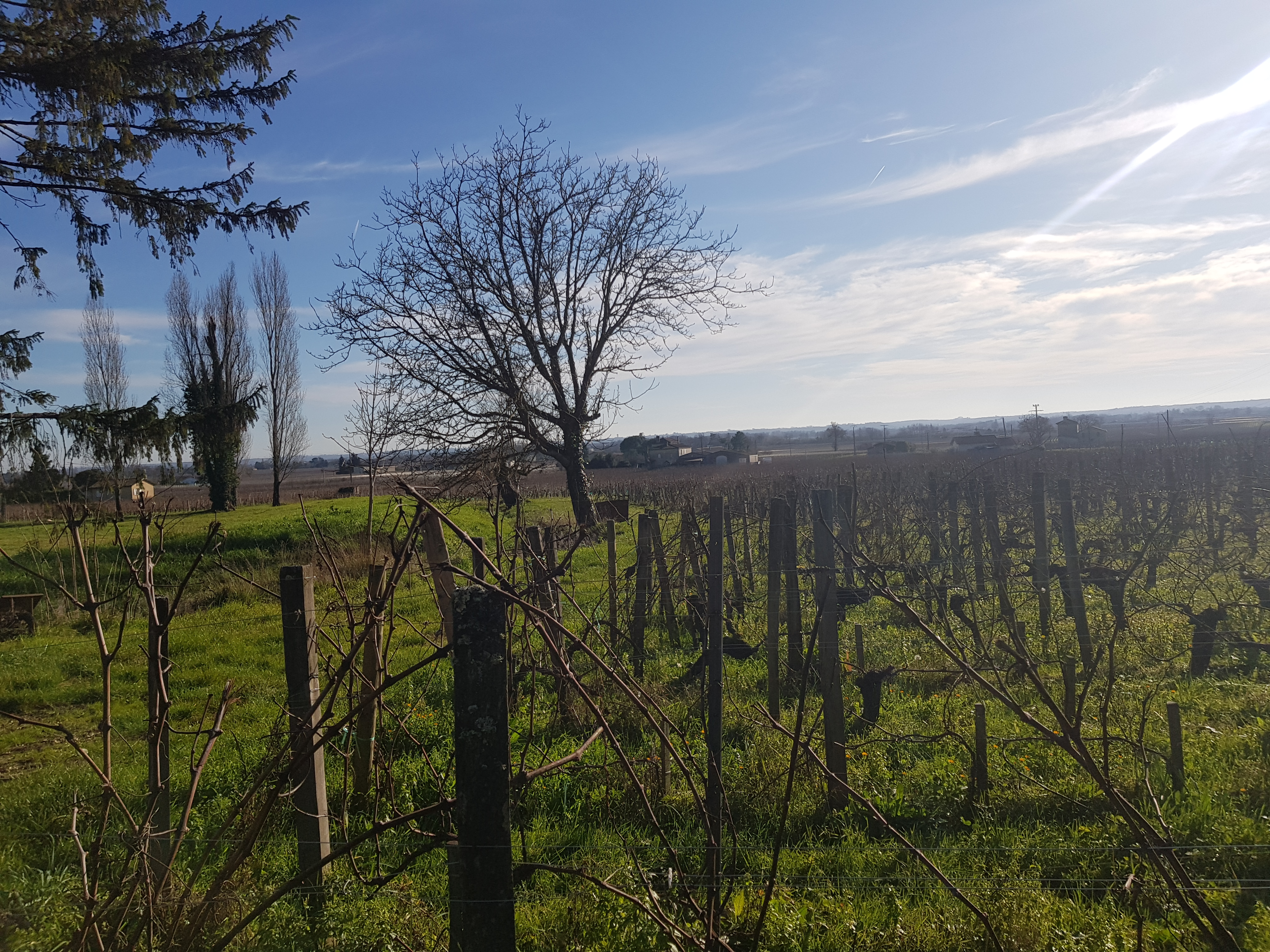 Photo n° 1 de l'avis de René.a fait le 18/01/2020 à 16:39