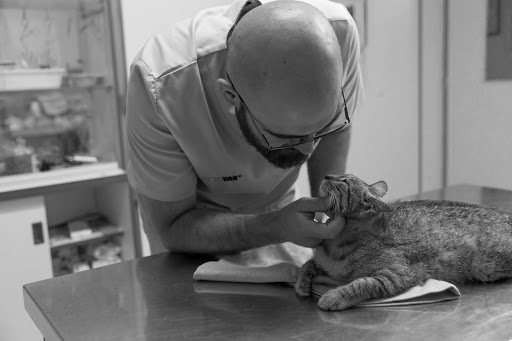 Clínica Veterinaria Astorga en Astorga