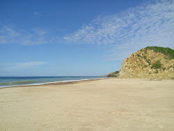 Cuixmala beach'in fotoğrafı kısmen otel alanı